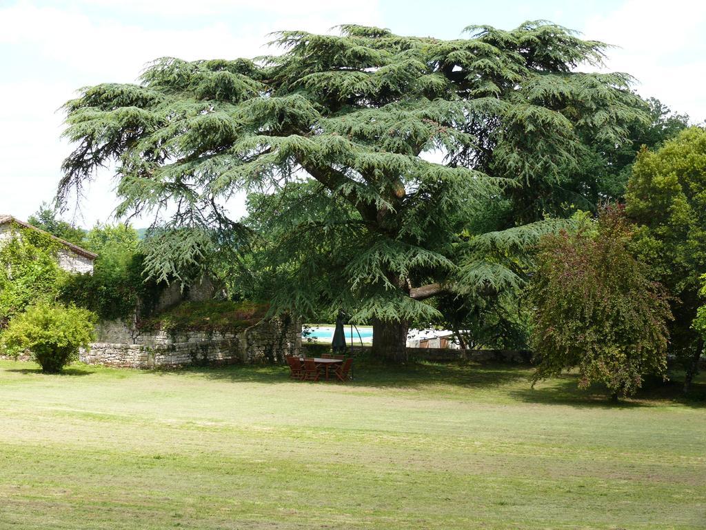 Domaine De Lamassas Bed & Breakfast Hautefage-la-Tour ภายนอก รูปภาพ